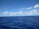 Tuamotu: See it in the distance - on the horizon?  Didn